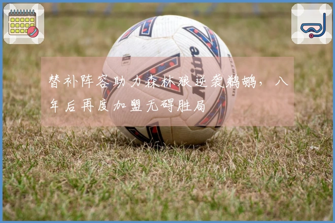 替补阵容助力森林狼逆袭鹈鹕，八年后再度加盟无碍胜局