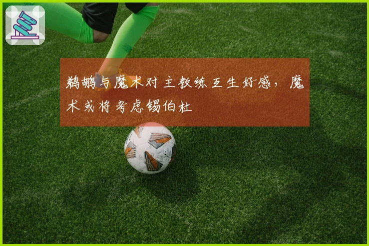 鹈鹕与魔术对主教练互生好感，魔术或将考虑锡伯杜