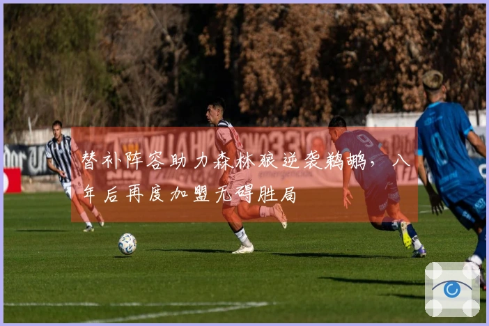 替补阵容助力森林狼逆袭鹈鹕，八年后再度加盟无碍胜局