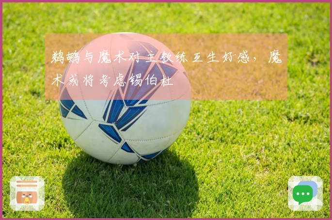 鹈鹕与魔术对主教练互生好感，魔术或将考虑锡伯杜